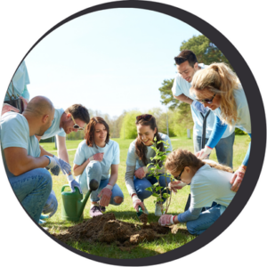 Community Grant Program image of people planting trees