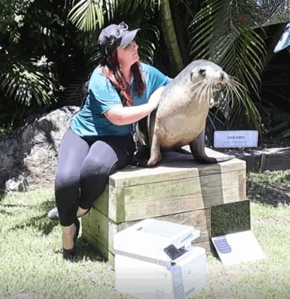 Coffs Coast Wildlife Sanctuary