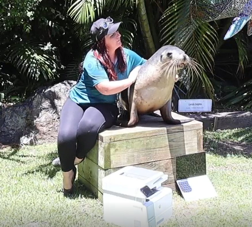 Coffs Coast Wildlife Sanctuary