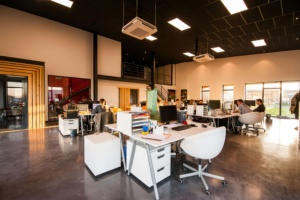 People Sitting On Chairs Behind Desks In An Office